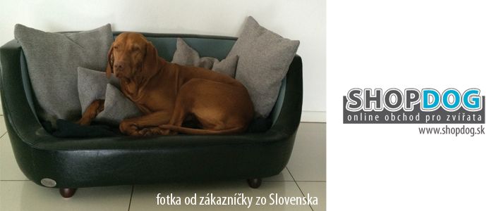 referenn foto od zkaznky zo Slovenska, www.shopdog.sk