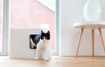 toaleta pre ma�ky Hoopo biela - pohlad 7 - www.shopdog.sk