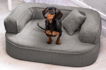 ortopedick pelech, sofa pre psa LOTTE velkost M grafit 1 - pohlad 1 - www.shopdog.sk