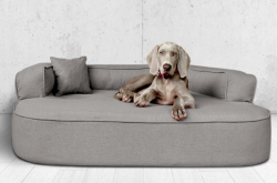 ortopedick pelech, sofa pre psa LOTTE vekos XXL grafit 4 - pohlad 1 - www.shopdog.sk