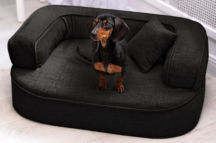 ortopedick pelech, sofa pre psa LOTTE velkost M ierny 1 - pohlad 1 - www.shopdog.sk