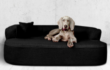 ortopedick pelech, sofa pre psa LOTTE vekos XXL ierny 4 - pohlad 1 - www.shopdog.sk