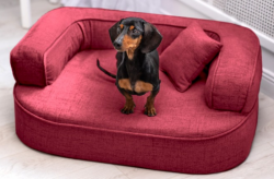 ortopedick pelech, sofa pre psa LOTTE velkost M bordo 1 - pohlad 1 - www.shopdog.sk