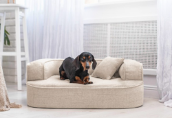 ortopedick pelech, sofa pre psa LOTTE velkost M bov 1 - pohlad 1 - www.shopdog.sk