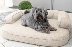 ortopedick pelech, sofa pre psa LOTTE vekos XL bov 3 - pohlad 1 - www.shopdog.sk