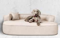 ortopedick pelech, sofa pre psa LOTTE vekos XXL bov 4 - pohlad 1 - www.shopdog.sk