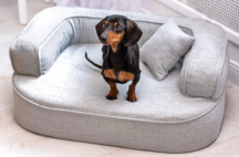 ortopedick pelech, sofa pre psa LOTTE velkost M siv 1 - pohlad 1 - www.shopdog.sk