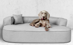 ortopedick pelech, sofa pre psa LOTTE vekos XXL siv 4 - pohlad 1 - www.shopdog.sk