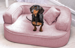 ortopedick pelech, sofa pre psa LOTTE velkost M ruov 1 - pohlad 1 - www.shopdog.sk