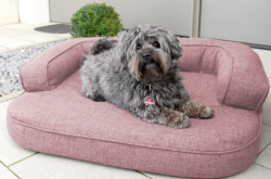 ortopedick pelech, sofa pre psa LOTTE vekos XL ruov 3 - pohlad 1 - www.shopdog.sk