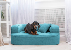 ortopedick pelech, sofa pre psa LOTTE velkost M tyrkys 1 - pohlad 1 - www.shopdog.sk