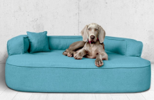 ortopedick pelech, sofa pre psa LOTTE vekos XXL tyrkys 4 - pohlad 1 - www.shopdog.sk