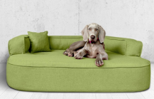 ortopedick pelech, sofa pre psa LOTTE vekos XXL zelen 4 - pohlad 1 - www.shopdog.sk