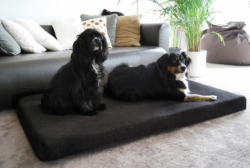 ortopedick� matrac ANTON Visco Plus ve�kos� M �ierna 1 - www.shopdog.sk