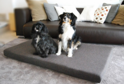 ortopedick� matrac ANTON Visco Plus ve�kos� M grafit 1 - www.shopdog.sk