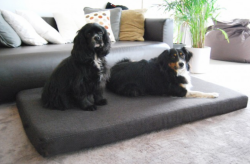ortopedick� matrac ANTON Visco Plus ve�kos� XXL grafit 4 - www.shopdog.sk