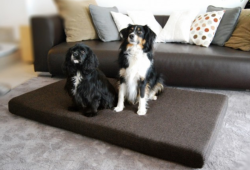 ortopedick� matrac ANTON Visco Plus ve�kos� XL hned� 3 - www.shopdog.sk