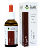 chaga Salvia Veterinary bylinn extrakt AF 50ml - www.shopdog.sk