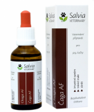 chaga Salvia Veterinary bylinn� extrakt AF 50ml