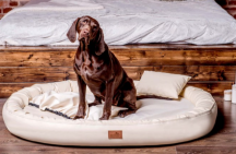 povlak Basic na ortopedick pelech vekos XL 110cm krmov - pohlad 2 - www.shopdog.sk