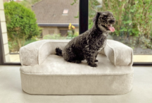 ortopedick sofa pre psa Sharleen krmov vekos M