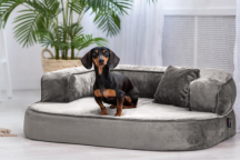 ortopedick sofa pre psa Sharleen vekos M siv - pohlad 3 - www.shopdog.sk