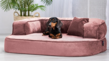 ortopedick sofa pre psa Sharleen ruov vekos M