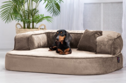 ortopedick sofa pre psa Sharleen bov vekos M - pohlad 1 - www.shopdog.sk