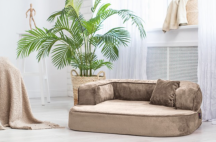 ortopedick sofa pre psa Sharleen bov vekos M - pohlad 2 - www.shopdog.sk