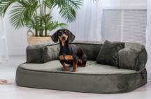 ortopedick sofa pre psa Sharleen olivov vekos M