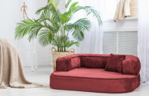 ortopedick sofa pre psa Sharleen bordov vekos M