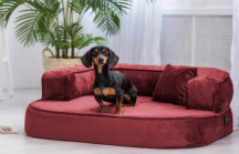 ortopedick sofa pre psa Sharleen bordov vekos M - pohlad 2 - www.shopdog.sk