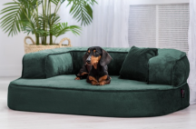 ortopedick sofa pre psa Sharleen petrolejov vekos M