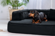 ortopedick sofa pre psa Sharleen antrazit vekos M