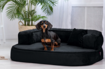 ortopedick sofa pre psa Sharleen antrazit vekos M - pohlad 2 - www.shopdog.sk
