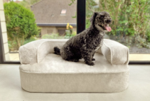 ortopedické sofa pre psa Sharleen krémovej veľkosť L