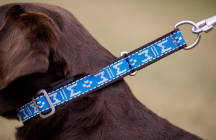 polos�ahovac� obojok Standard reflexn� 7 - pohlad 2 - www.shopdog.sk