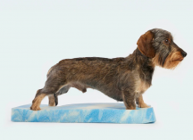 ortopedick� pelech pre mal� rasy Leopolds ve�kos� S - pohlad 7 - www.shopdog.sk