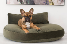 vank��, matrac na le�anie pre psov Luna Oxford 1 - pohlad 2 - www.shopdog.sk