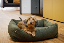 ortopedick� pelech pre psa Teddy Boucl� velkos� S 2