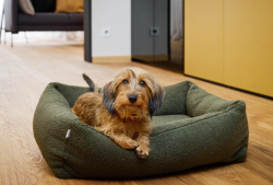 ortopedick� pelech pre psa Teddy Boucl� velkos� S 2 - pohlad 1 - www.shopdog.sk