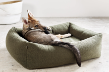 ortopedick� pelech pre psa Teddy Boucl� velkos� S 2 - pohlad 3 - www.shopdog.sk