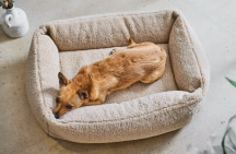 ortopedick� pelech Teddy Boucl� velkos� S 3 - pohlad 3 - www.shopdog.sk