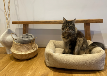 ortopedick� pelech Teddy Boucl� velkos� S 3 - pohlad 6 - www.shopdog.sk