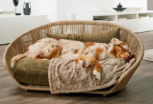 designov� postel pre psa Vogue Oxford 1 - pohlad 3 - www.shopdog.sk