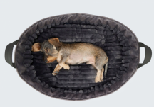 pelech pre mal� rasy Deluxe velkost M 2 - pohlad 4 - www.shopdog.sk