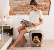 dizajnov� lavica s integrovanou b�dkou pre psa alebo ma�ku Pancuccia 1 - pohlad 3 - www.shopdog.sk