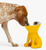 dizajnov� miska pre vodu a jedlo pre psa Elizabeth 1 - pohlad 2 - www.shopdog.sk