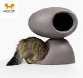 dizajnov� poste�, jasky�a pre ma�ky 2 - pohlad 3 - www.shopdog.sk